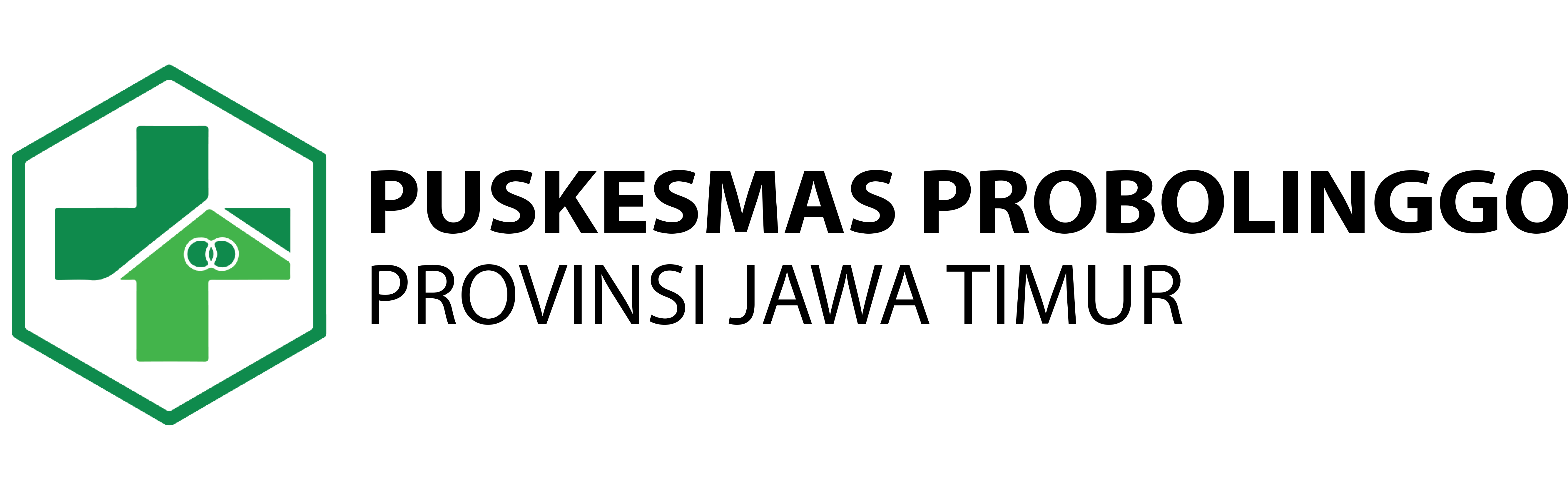 Logo Puskesmas